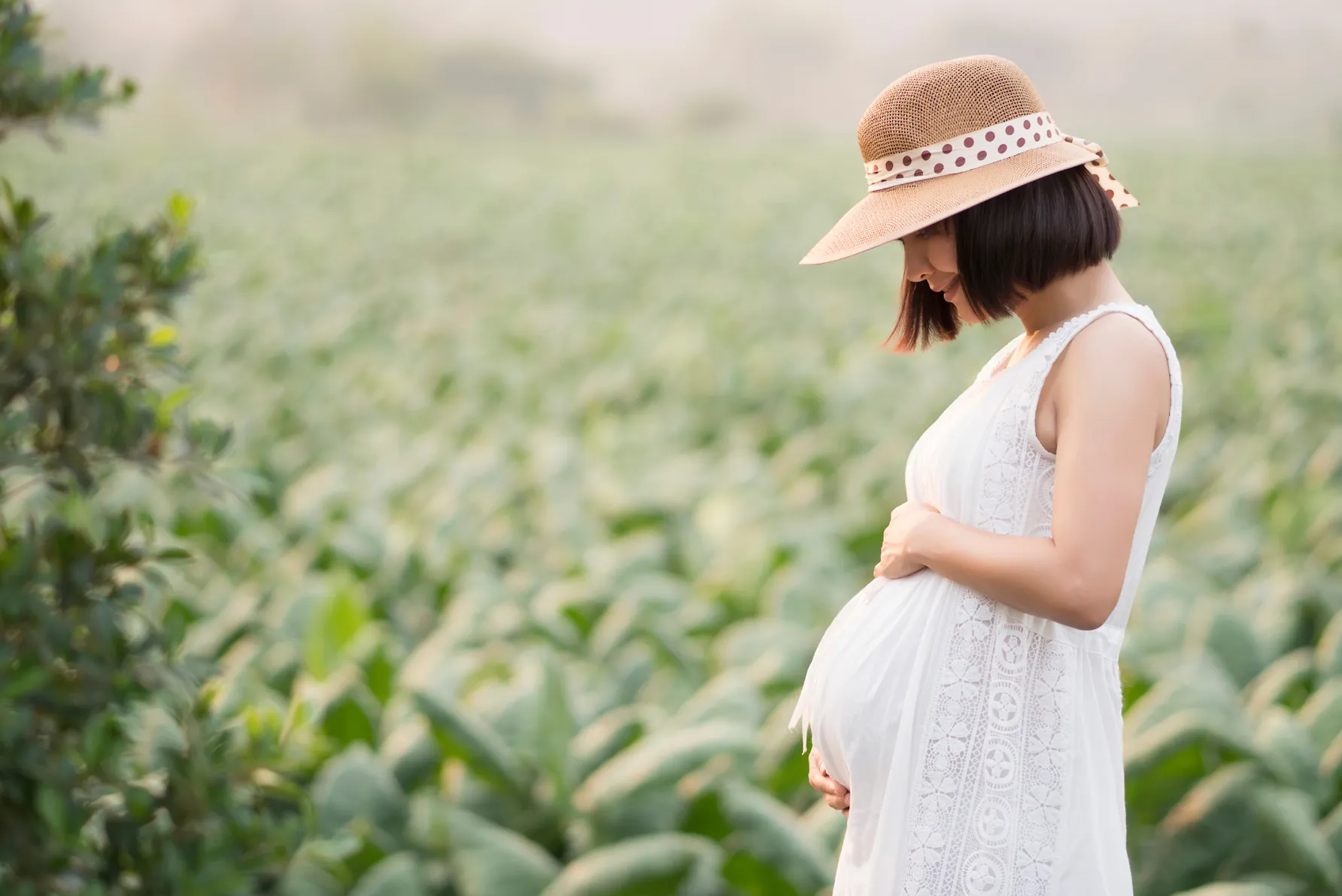 Pregnant or breastfeeding women should be cautious when taking apple pectin as the effects are unknown.