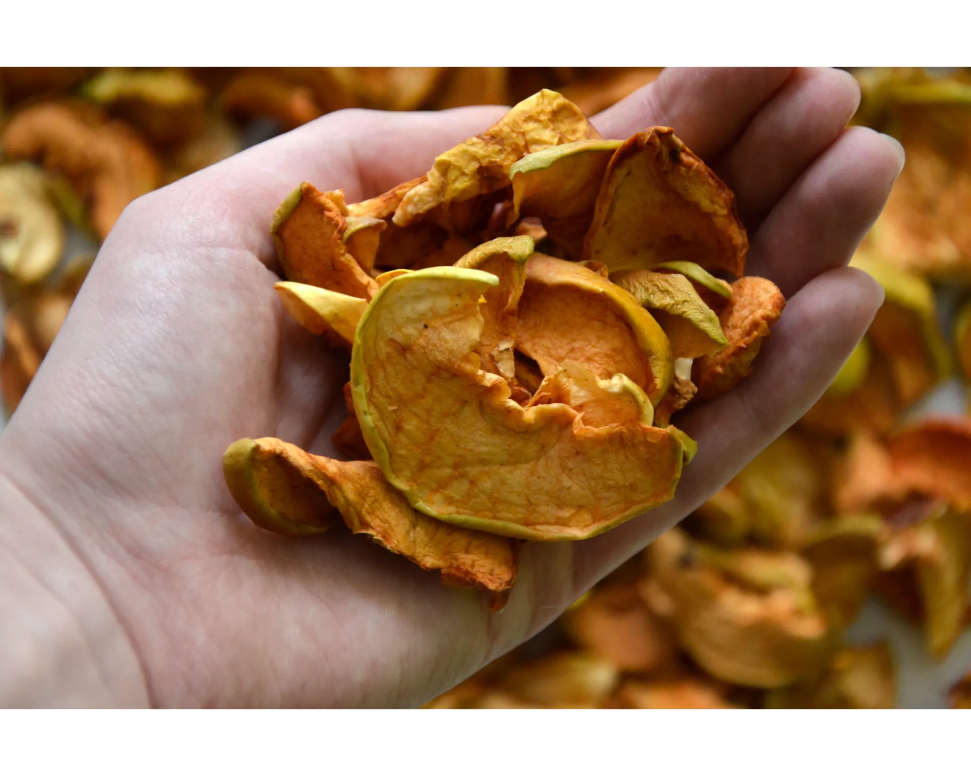 Dried apple slices are a great snack.