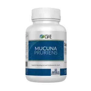 Mucuna Pruriens